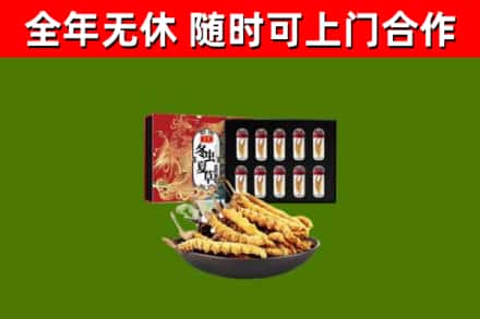 昆山市烟酒回收冬虫夏草礼盒.jpg